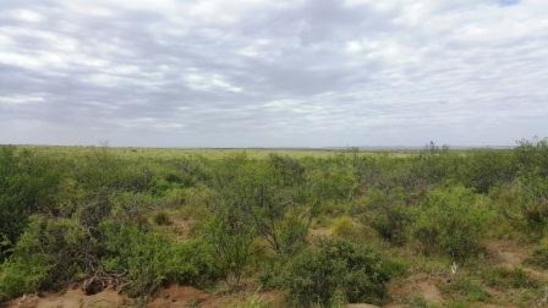 Campo 720 hectareas San Carlos con pozo de agua 12 pulgadas